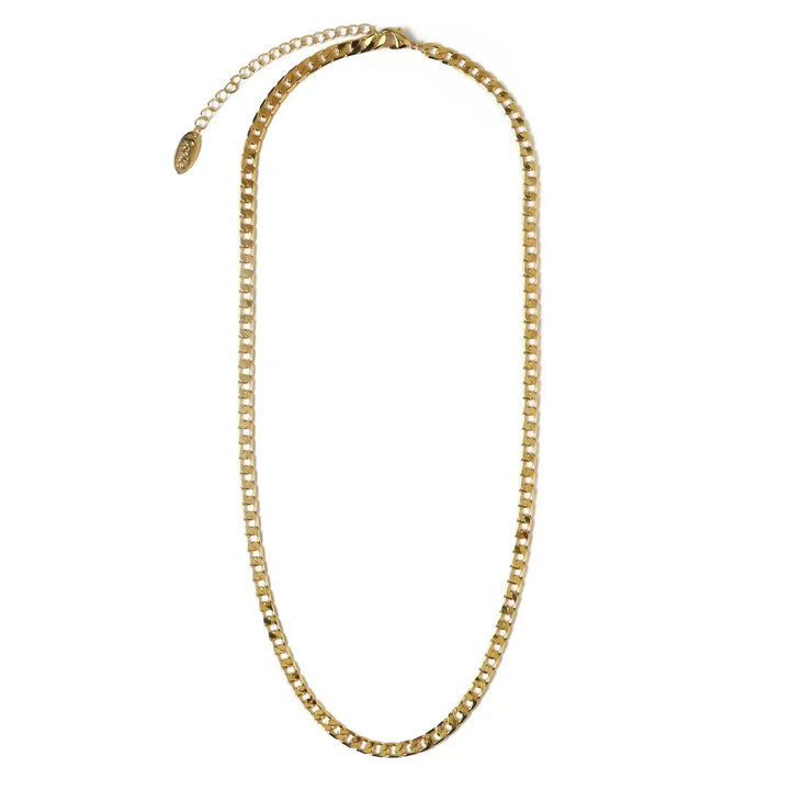 Tova Link Curb Chain Necklace | Gold